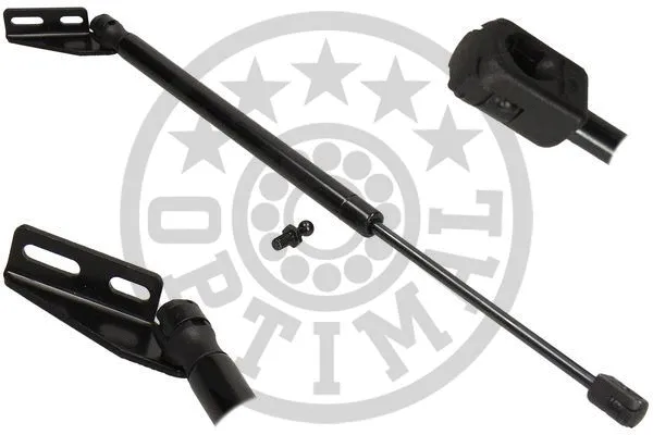 Gas Spring, boot/cargo area (AG-40948)