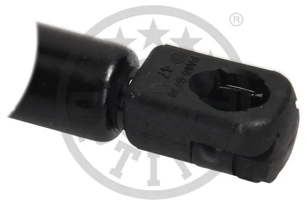 Gas Spring, boot/cargo area
