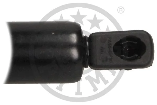 Gas Spring, boot/cargo area