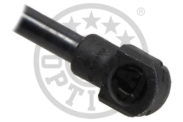 Gas Spring, boot/cargo area