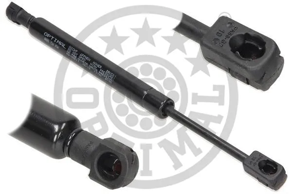 Gas Spring, bonnet (AG-40198)