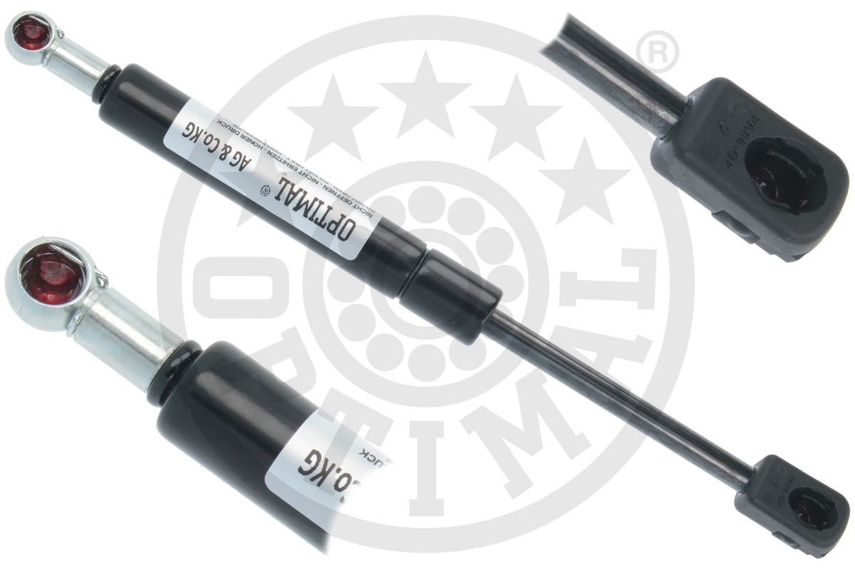 Gas Spring, bonnet (AG-51816)