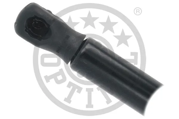 Gas Spring, boot/cargo area