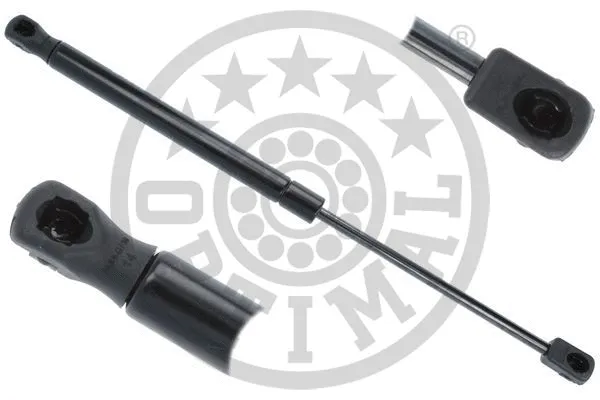 Gas Spring, boot/cargo area (AG-50674)