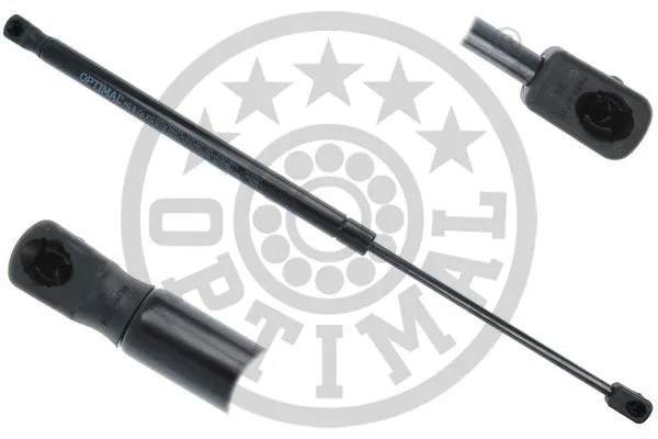 Gas Spring, boot/cargo area (AG-50294)