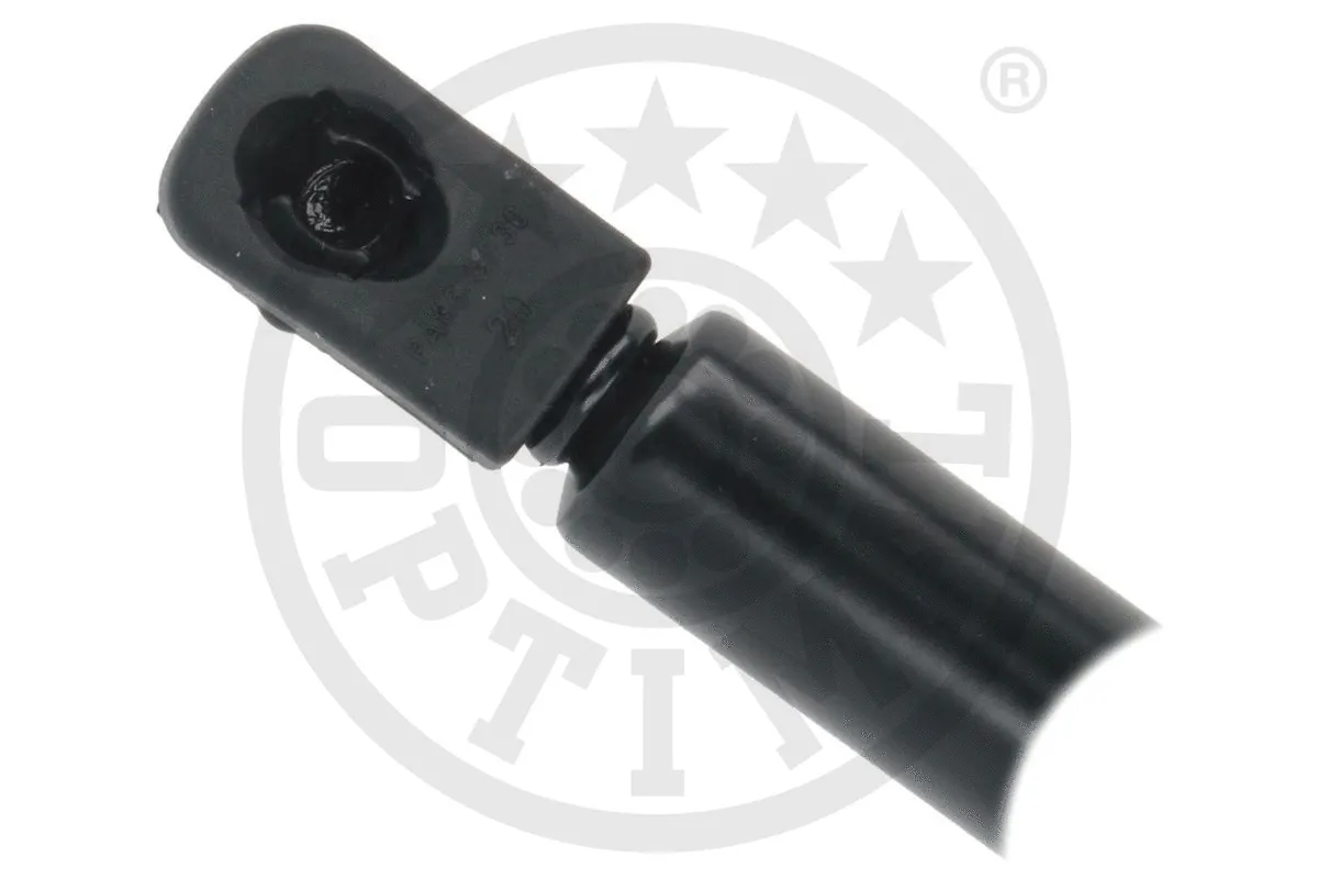 Gas Spring, boot/cargo area