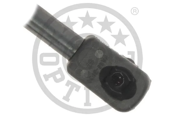 Gas Spring, boot/cargo area