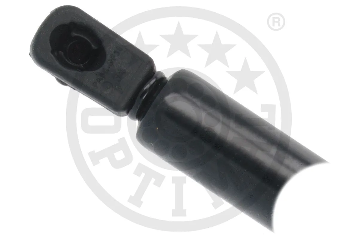 Gas Spring, boot/cargo area