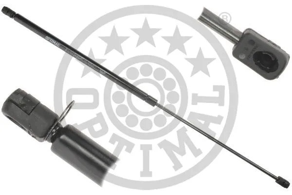 Gas Spring, boot/cargo area (AG-51355)