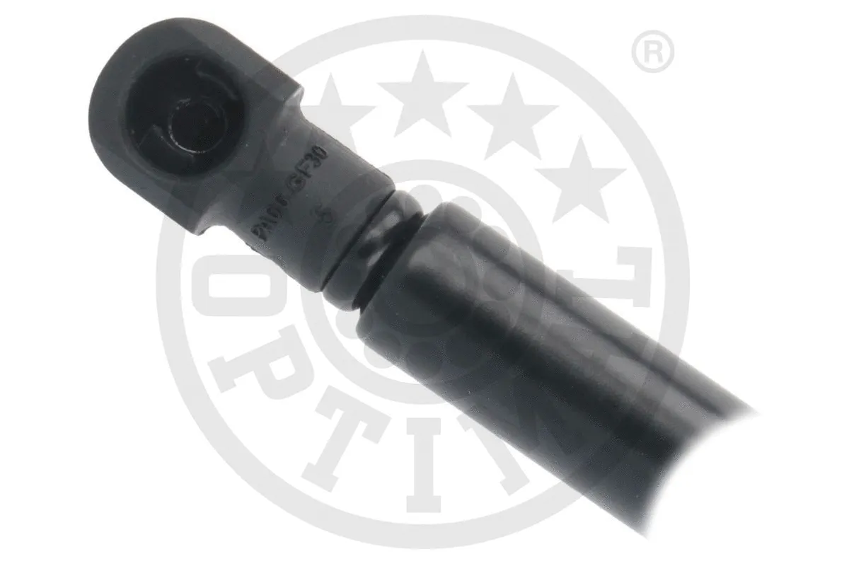 Gas Spring, boot/cargo area