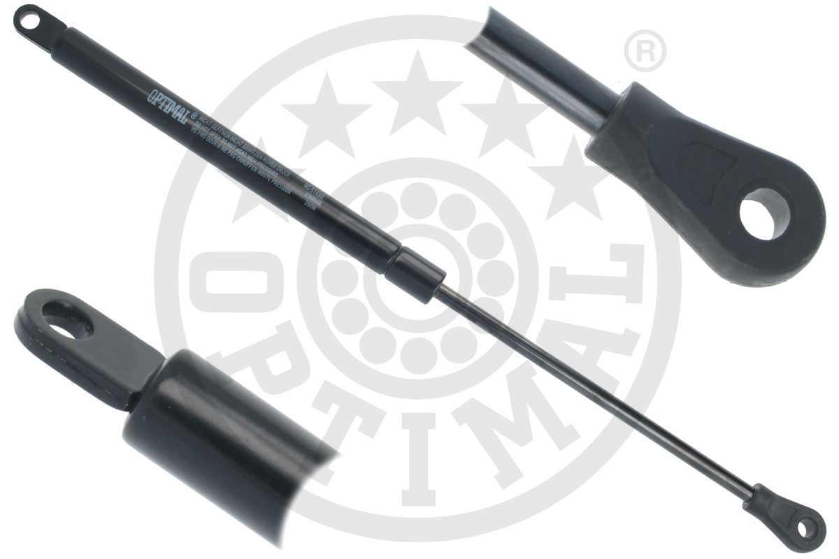 Gas Spring, boot/cargo area (AG-51688)