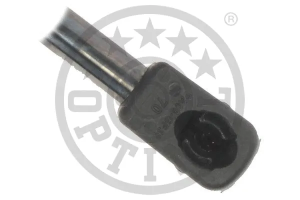 Gas Spring, boot/cargo area