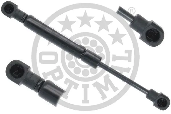 Gas Spring, boot/cargo area (AG-50241)