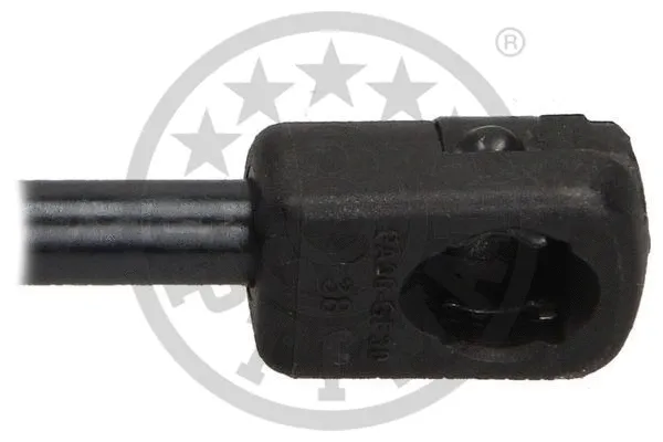 Gas Spring, boot/cargo area