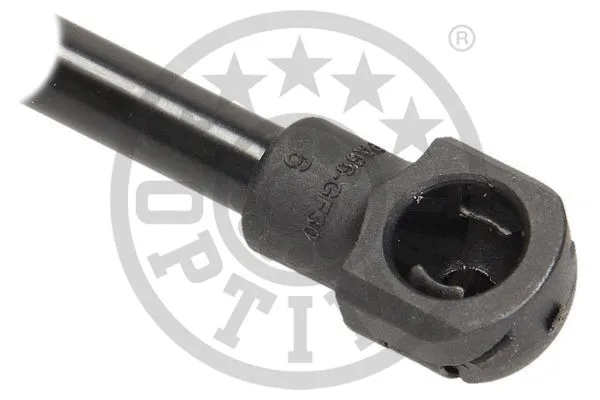 Gas Spring, boot/cargo area