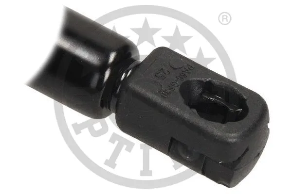 Gas Spring, boot/cargo area