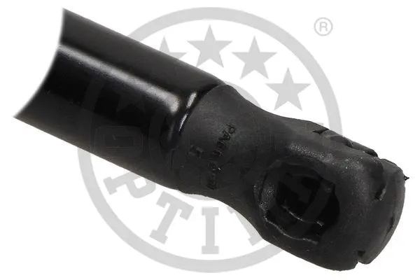 Gas Spring, boot/cargo area