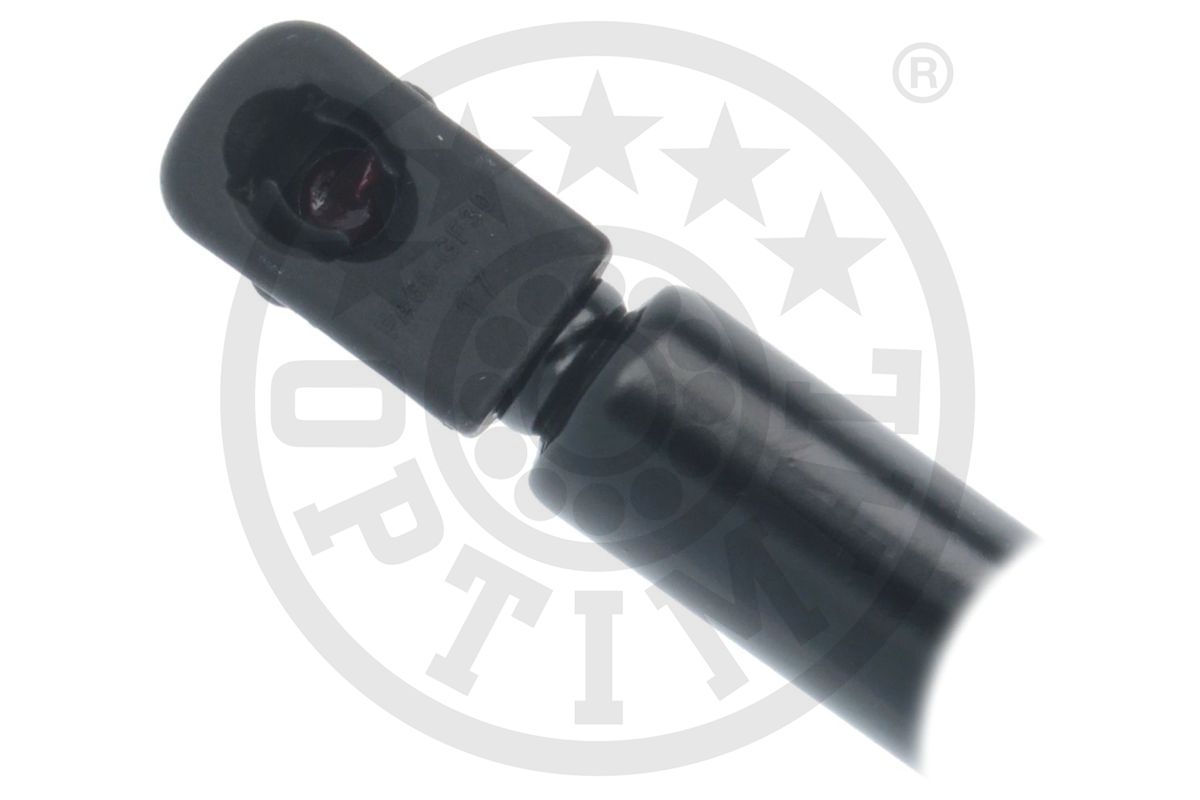 Gas Spring, boot/cargo area