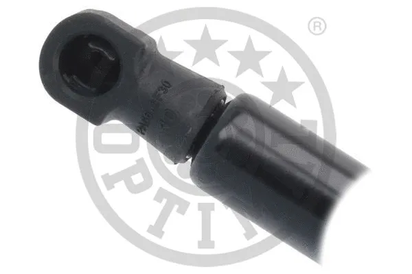 Gas Spring, boot/cargo area