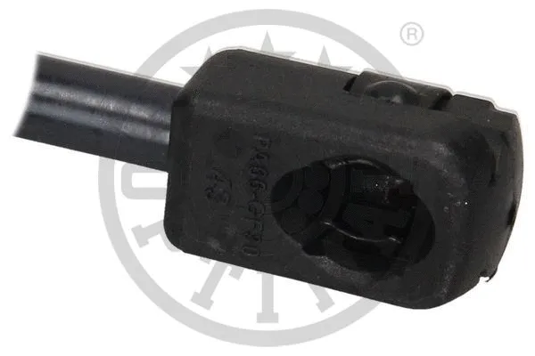 Gas Spring, boot/cargo area
