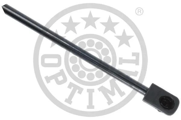 Gas Spring, boot/cargo area