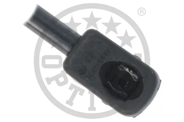 Gas Spring, boot/cargo area