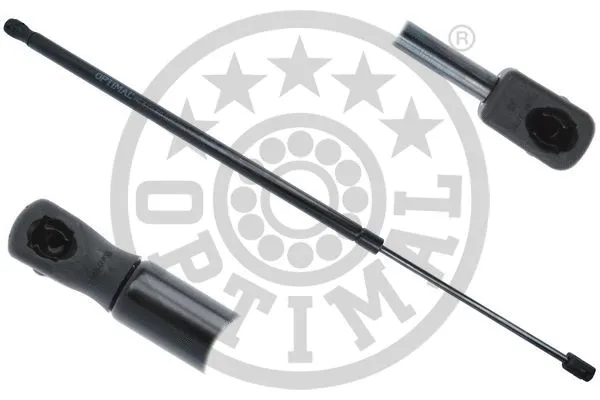 Gas Spring, boot/cargo area (AG-51241)