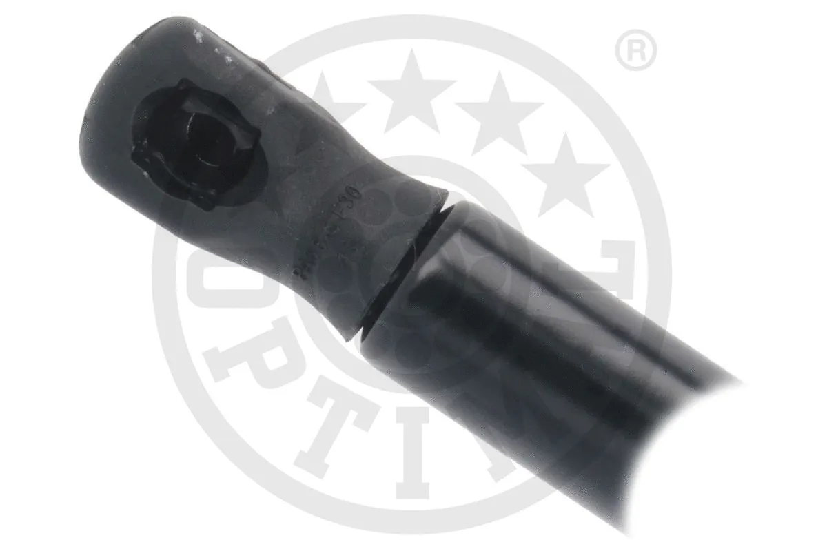 Gas Spring, boot/cargo area