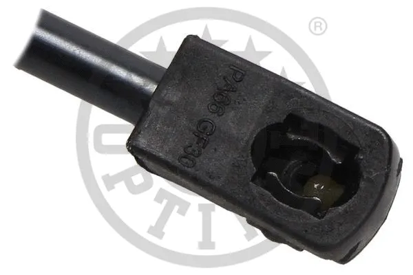 Gas Spring, boot/cargo area