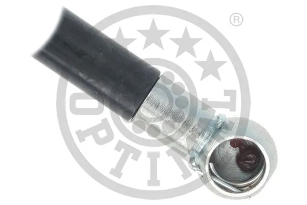 Gas Spring, boot/cargo area