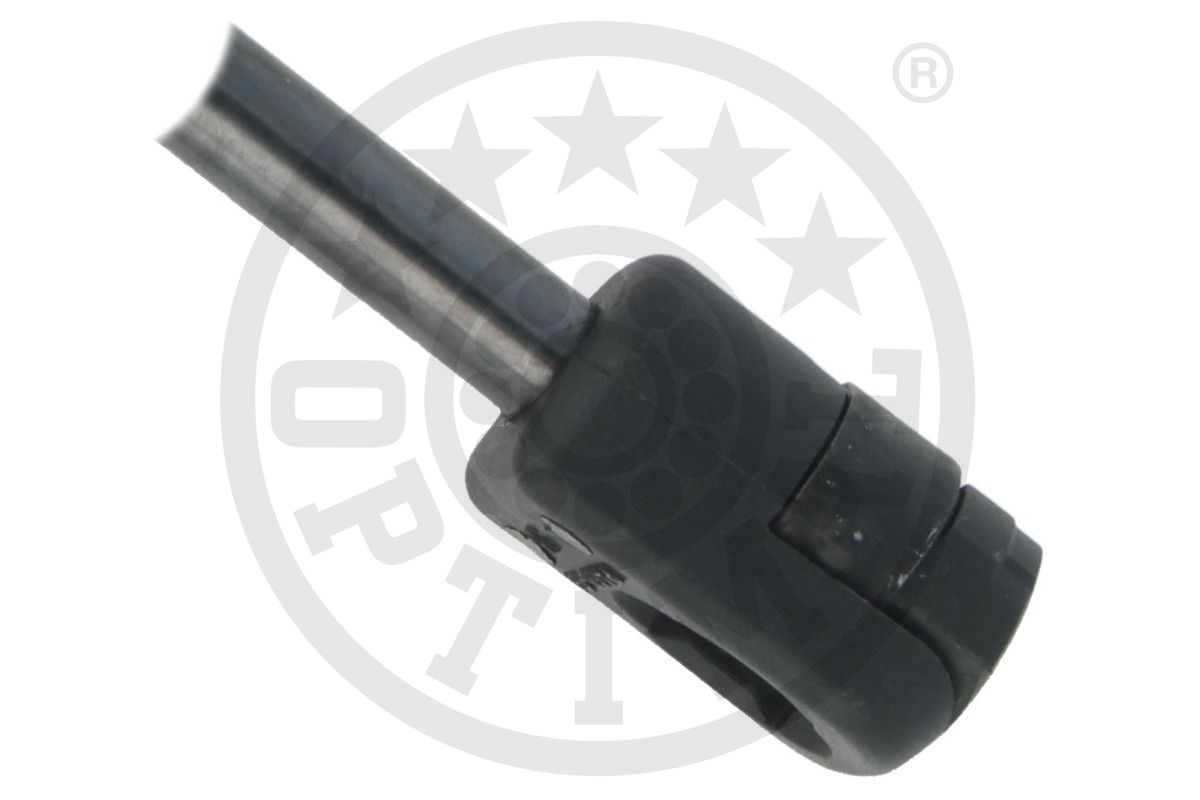 Gas Spring, boot/cargo area