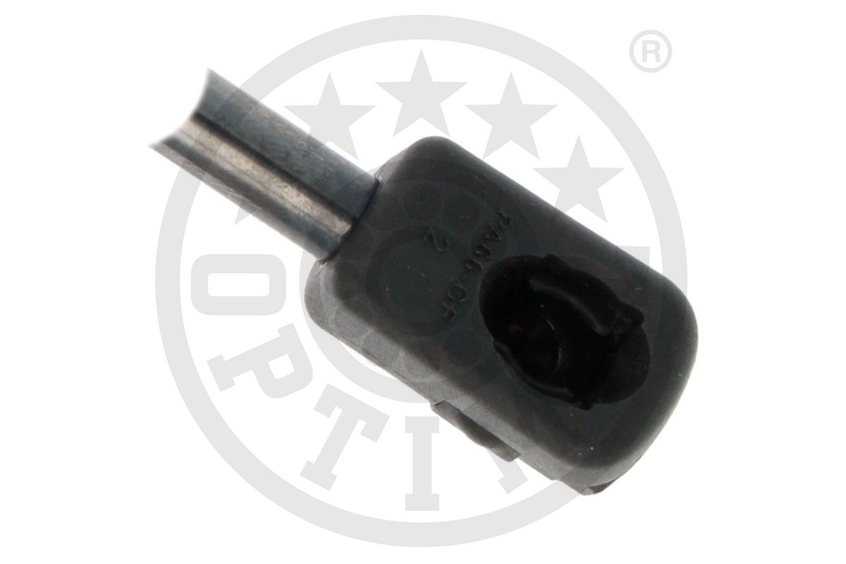 Gas Spring, boot/cargo area