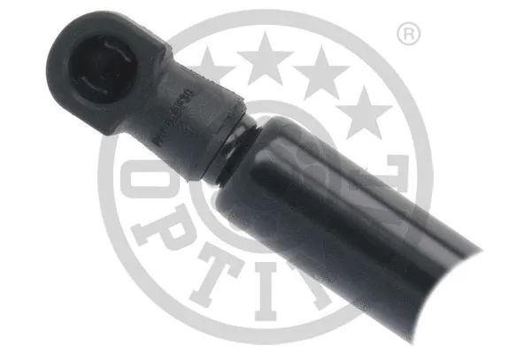 Gas Spring, boot/cargo area