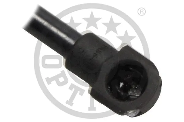 Gas Spring, boot/cargo area