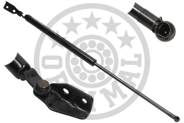 Gas Spring, boot/cargo area (AG-40142)