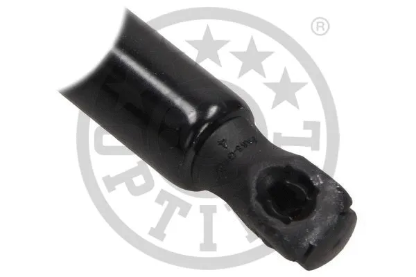 Gas Spring, boot/cargo area