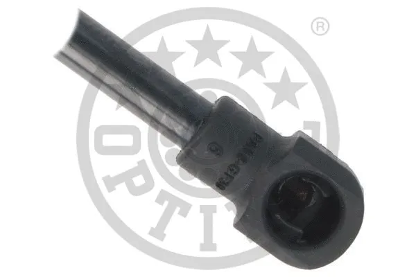 Gas Spring, boot/cargo area