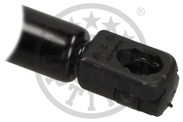 Gas Spring, boot/cargo area