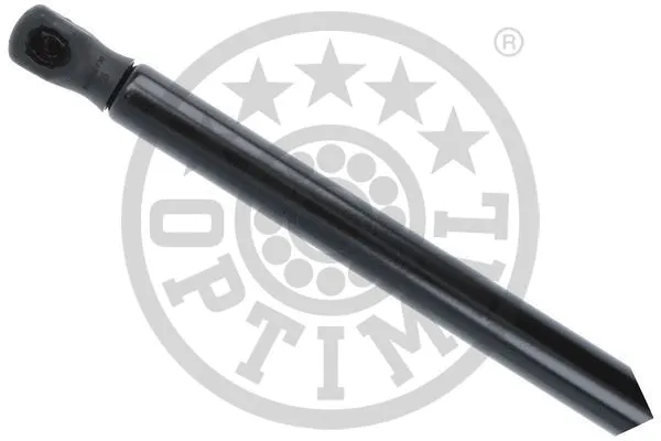 Gas Spring, boot/cargo area