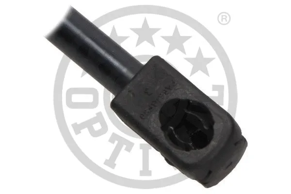 Gas Spring, boot/cargo area