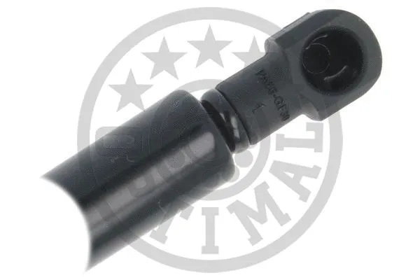 Gas Spring, boot/cargo area