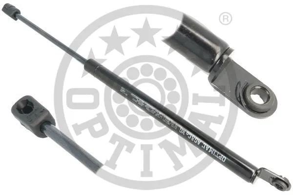 Gas Spring, boot/cargo area (AG-17344)