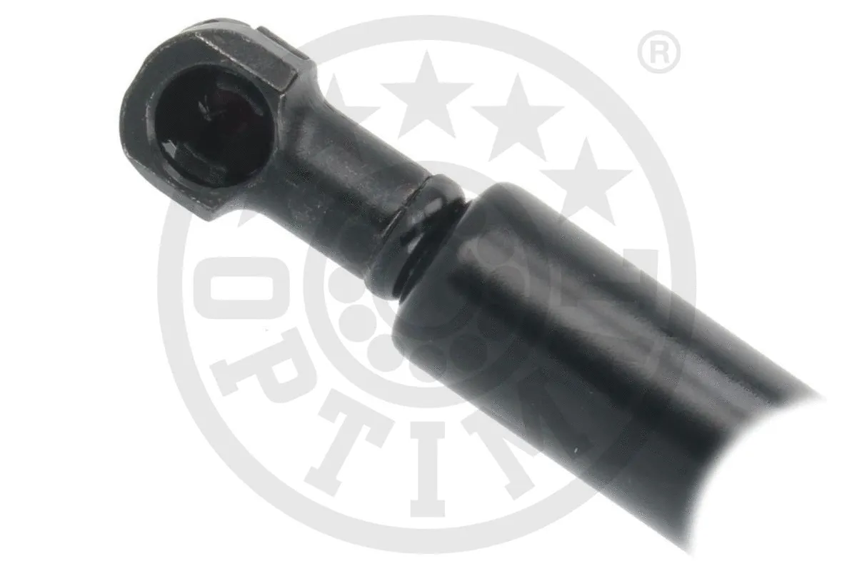 Gas Spring, boot/cargo area