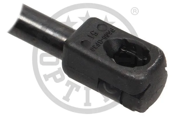 Gas Spring, boot/cargo area