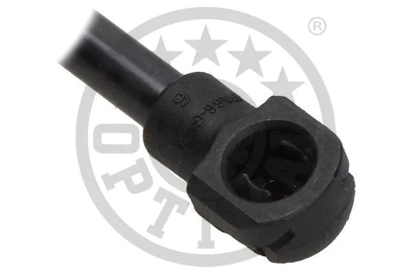 Gas Spring, boot/cargo area