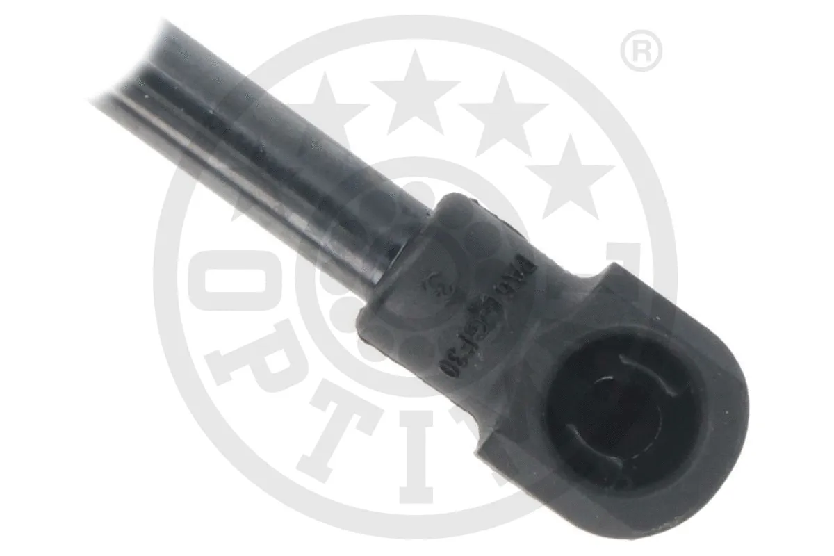 Gas Spring, boot/cargo area