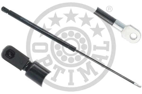 Gas Spring, boot/cargo area (AG-51804)