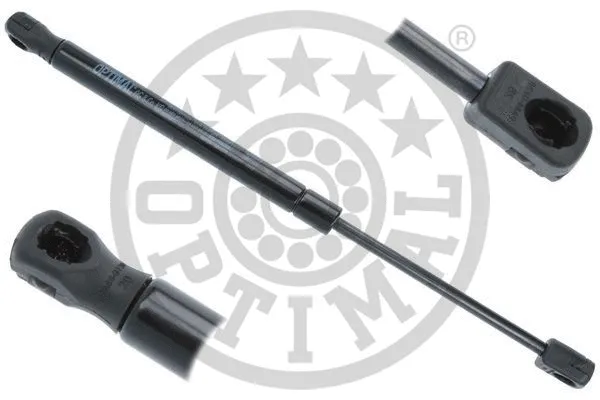 Gas Spring, boot/cargo area (AG-52039)