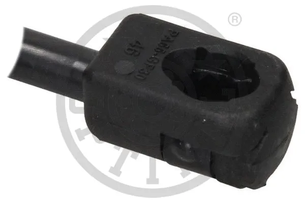 Gas Spring, boot/cargo area