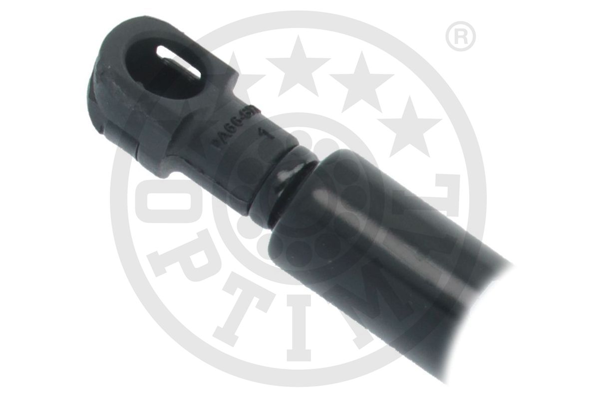 Gas Spring, bonnet